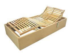 Tulip bedframe with ..